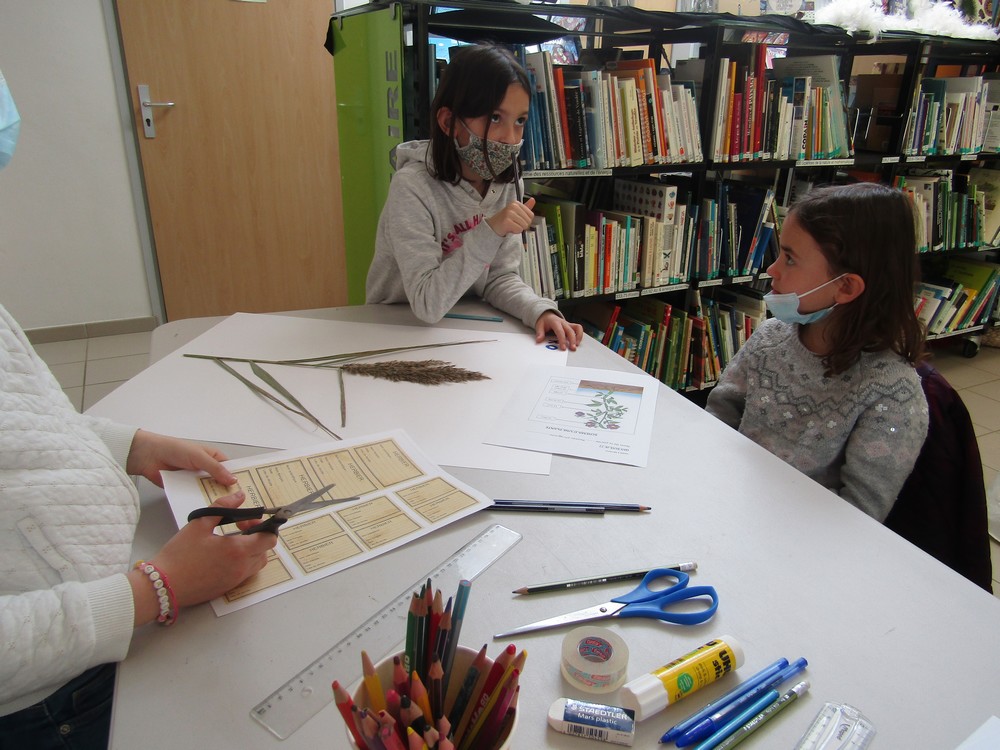 jar0002 Les CE dans le Vent !