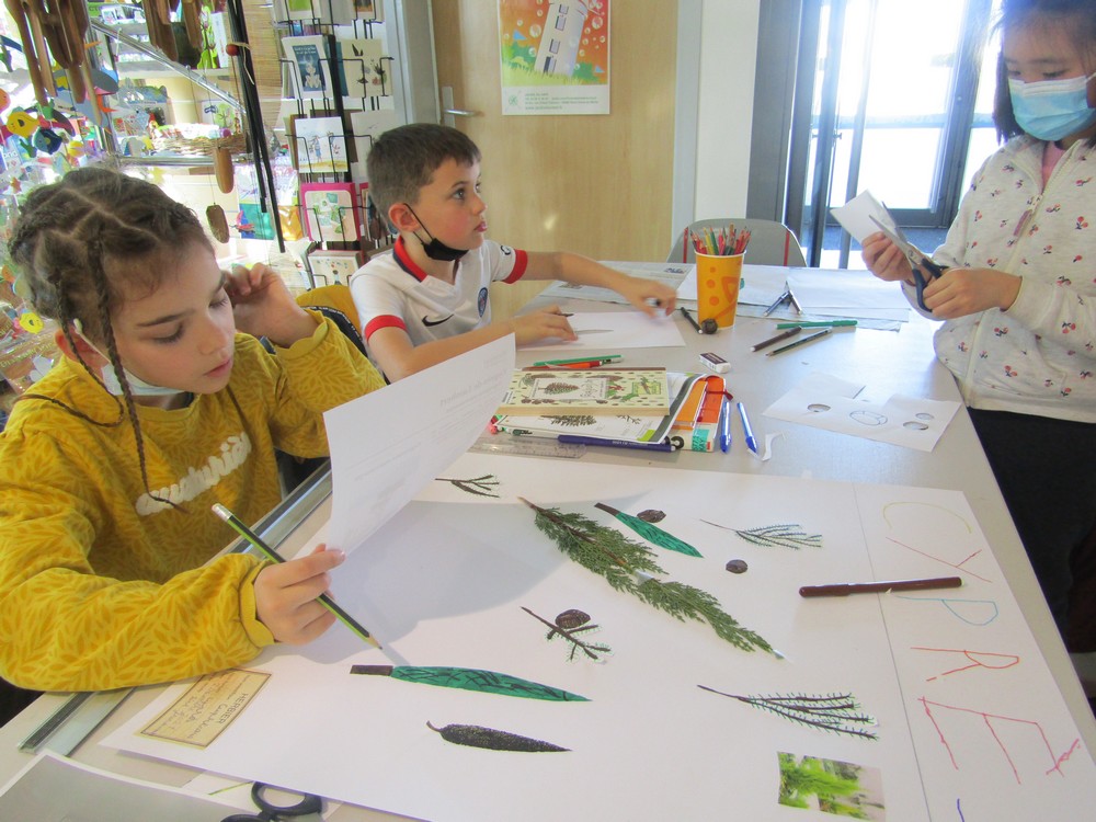 jar0015 Les CE dans le Vent !