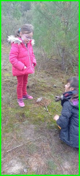 Les CP-CE1 explorent la forêt