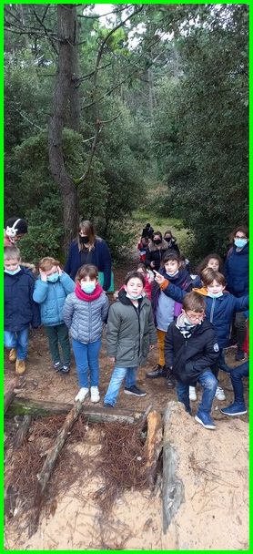 Les CP-CE1 explorent la forêt